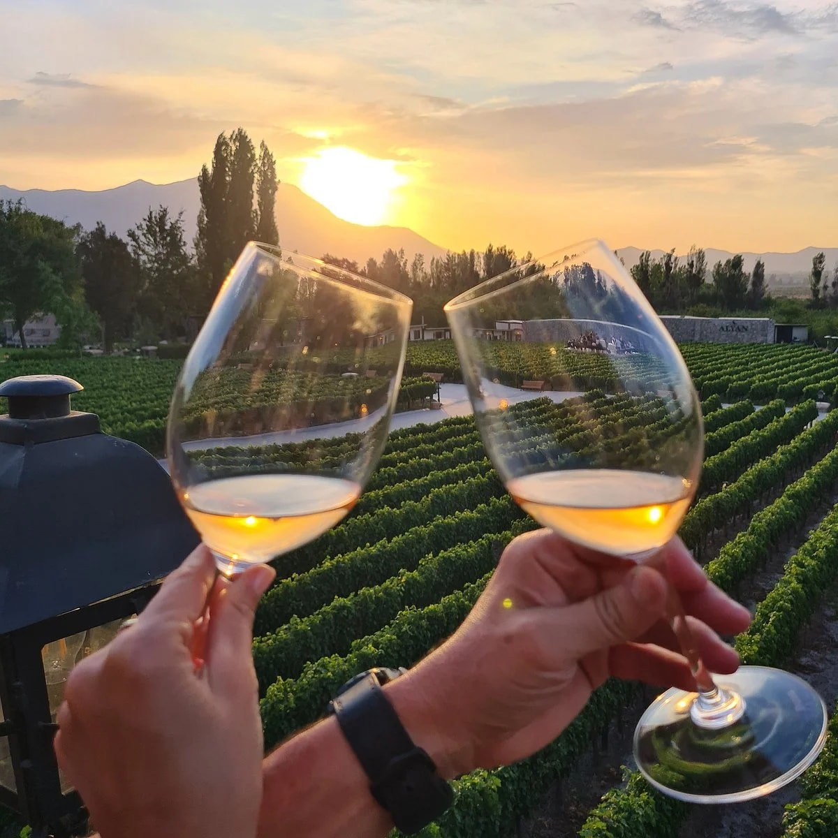 TOUR VIÑA ALYAN – Sunset Experience